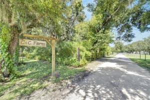 9015 COUNTY LINE ROAD, LITHIA, FL 33547 Sold 07/16/25