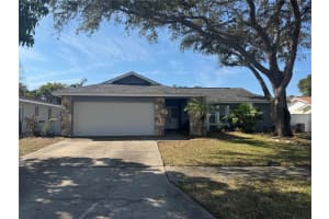 435 LAUGHING GULL LANE, PALM HARBOR, FL 34683 Sold 05/30/25