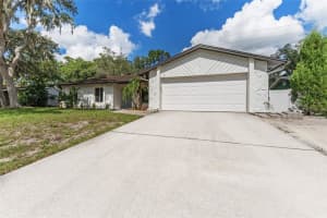 3915 BRIARLAKE DRIVE, VALRICO, FL 33596 Sold 03/10/25