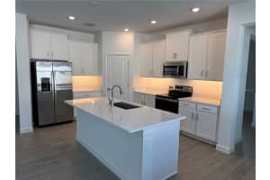 31819 CARDINAL YARD DRIVE, SAN ANTONIO, FL 33576 Sold 04/21/25