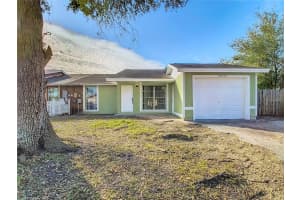10214 TURTLE HILL COURT, TAMPA, FL 33615 Sold 03/21/25