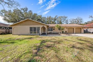 3245 CANAL PLACE, LAND O LAKES, FL 34639 Sold 04/15/25