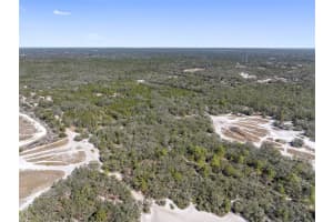 16-24-17-0000-00500-0000, HUDSON, FL 34667 - MLS#MFRTB8342929