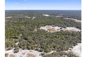 16-24-17-0000-00400-0000, HUDSON, FL 34667 - MLS#MFRTB8342931