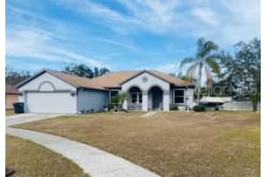 4209 AMBER RIDGE LANE, VALRICO, FL 33594 Sold 07/11/25