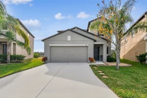 11127 Hudson Hills Ln, RIVERVIEW