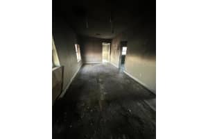 10124 HYACINTH AVENUE, TAMPA, FL 33612 Sold 02/26/25