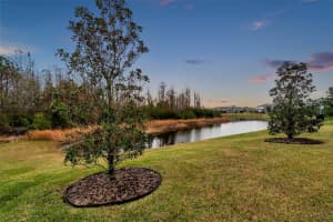 4559 BALLANTRAE BOULEVARD, LAND O LAKES, FL 34638 Sold 03/21/25