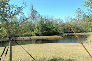 16843 FORGE SURF STREET, LAND O LAKES, FL 34638 - MLS#MFRTB8343065