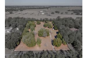 35351 NINA SUE LANE, DADE CITY, FL 33523 Sold 03/07/25