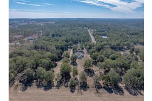 35351 NINA SUE LANE, DADE CITY, FL 33523 Sold 03/07/25