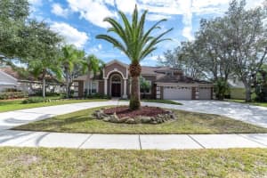15728 BEREA DRIVE, ODESSA, FL 33556 Sold 03/20/25
