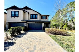 4899 Isola Ct, WESLEY CHAPEL