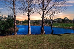 11416 PINE FOREST DRIVE, NEW PORT RICHEY, FL 34654 - MLS#MFRTB8343120