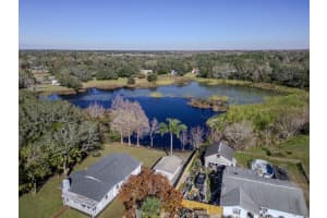 11416 PINE FOREST DRIVE, NEW PORT RICHEY, FL 34654 - MLS#MFRTB8343120