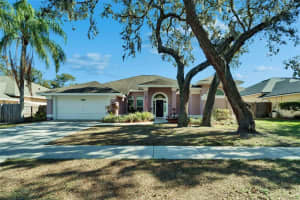 10424 NIGHTENGALE DRIVE, RIVERVIEW, FL 33569 Sold 04/07/25