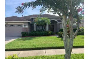 29120 RIVERGATE RUN, WESLEY CHAPEL, FL 33543 Sold 03/21/25