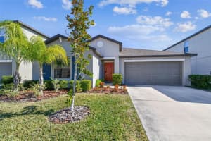 4654 WILD SENNA BOULEVARD, TAMPA, FL 33619 Sold 04/01/25