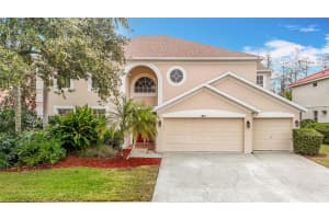 18817 CHAVILLE ROAD, LUTZ, FL 33558 Sold 02/22/25