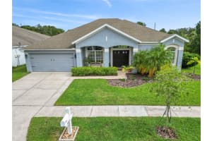 31055 EDENDALE DRIVE, WESLEY CHAPEL, FL 33543 Sold 04/24/25