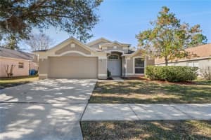 30052 MORNINGMIST DRIVE, WESLEY CHAPEL, FL 33543 Sold 04/29/25