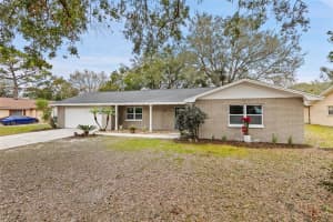 8706 ELMDALE PLACE, TAMPA, FL 33637 Sold 04/16/25