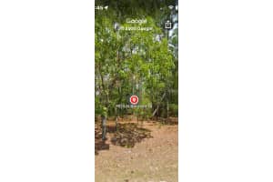 7830 N SARAZEN DR, CITRUS SPRINGS, FL 34434 Sold 05/13/25