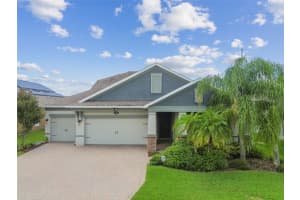18992 ROSEATE DRIVE, LUTZ, FL 33558 Sold 03/25/25
