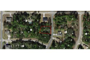 8992 LISA TERRACE, CITRUS SPRINGS, FL 34433 Sold 03/13/25