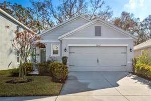 32857 BROOKS HAWK LANE, WESLEY CHAPEL, FL 33543 Sold 06/18/25