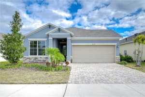 6112 Plover Meadow St, LITHIA