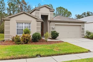 26801 MIDDLEGROUND LOOP, WESLEY CHAPEL, FL 33544 Sold 04/24/25
