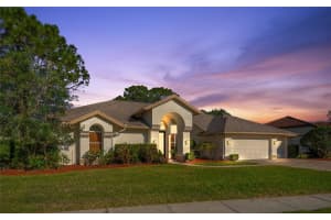 16308 COLWOOD DRIVE, ODESSA, FL 33556 Sold 06/02/25
