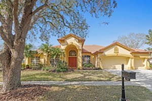 9223 HIGHLAND RIDGE WAY, TAMPA, FL 33647 Sold 03/20/25