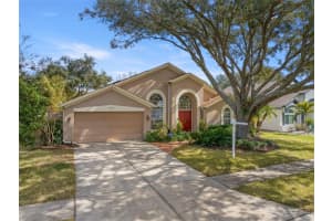 3979 JENITA DRIVE, PALM HARBOR, FL 34685 Sold 04/11/25