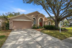 3979 JENITA DRIVE, PALM HARBOR, FL 34685 Sold 04/11/25