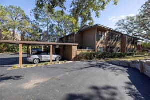 2307 LENNOX ROAD, PALM HARBOR, FL 34683 Sold 03/07/25
