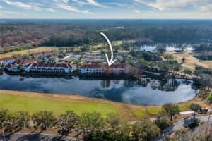 10308 SAVILLE ROWE LANE, TAMPA, FL 33626 Sold 04/09/25