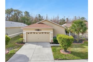 21042 DIAMONTE DRIVE, LAND O LAKES, FL 34637 Sold 06/27/25