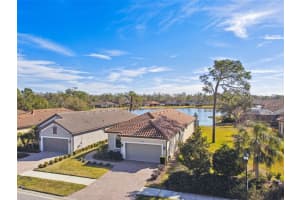 20109 Sorano Hill Pl, TAMPA