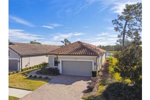 20109 SORANO HILL PLACE, TAMPA, FL 33647 - MLS#MFRTB8343920