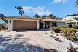 3907 KRISTIN PLACE, VALRICO, FL 33596 Sold 04/17/25