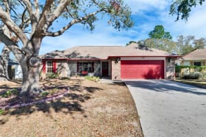 920 GREENBELT CIRCLE, BRANDON, FL 33510 Sold 04/04/25