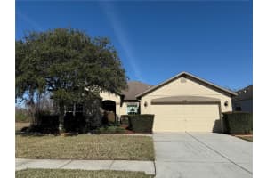 9730 ASBEL ESTATES ST, LAND O LAKES, FL 34638 Sold 03/12/25