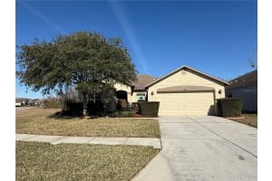 9730 ASBEL ESTATES ST, LAND O LAKES, FL 34638 Sold 03/12/25