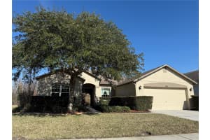 9730 ASBEL ESTATES ST, LAND O LAKES, FL 34638 Sold 03/12/25