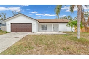 12829 TALLOWOOD DRIVE, RIVERVIEW, FL 33579 Sold 04/21/25
