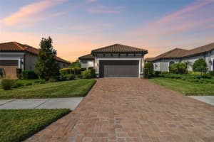 11125 Callisia Dr, ODESSA