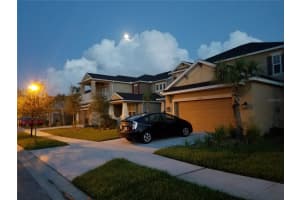 8836 CITRUS PALM DRIVE, TAMPA, FL 33626 Sold 08/06/25