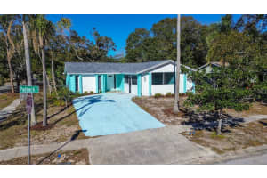 1316 PADDOCK COURT, TARPON SPRINGS, FL 34689 Sold 02/27/25
